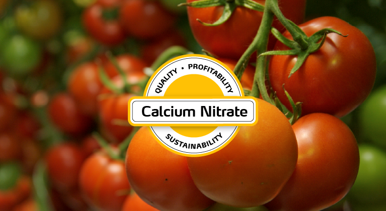 calcium nitrate for vegetables