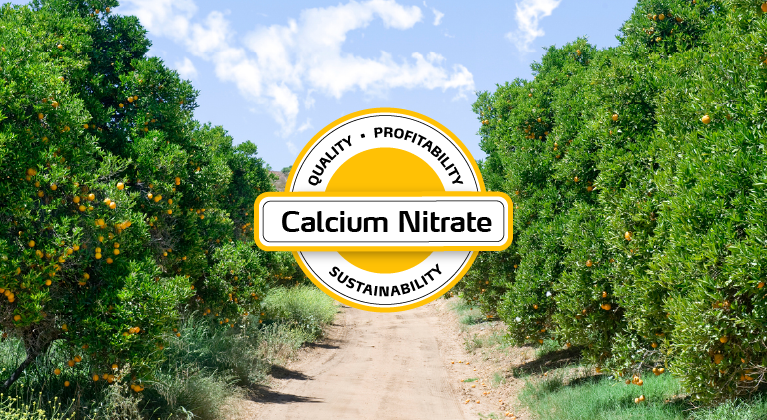 calcium nitrate for citrus