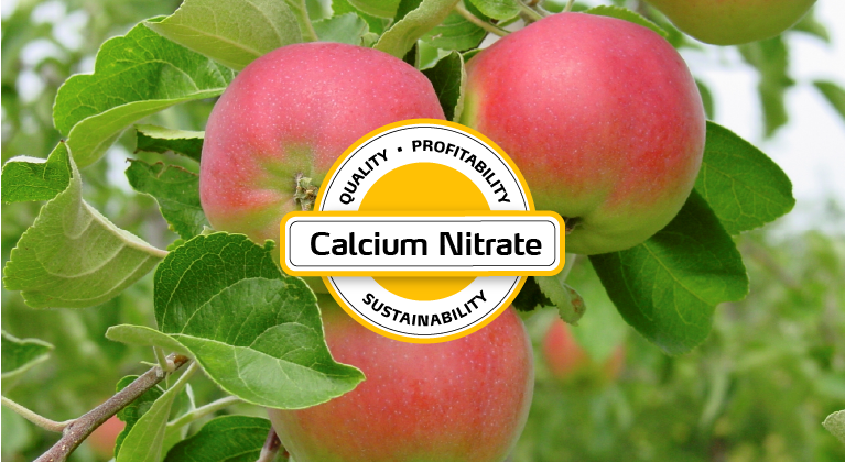 calcium nitrate for apples