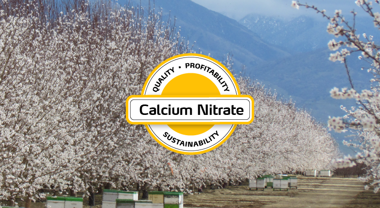 calcium nitrate for almond