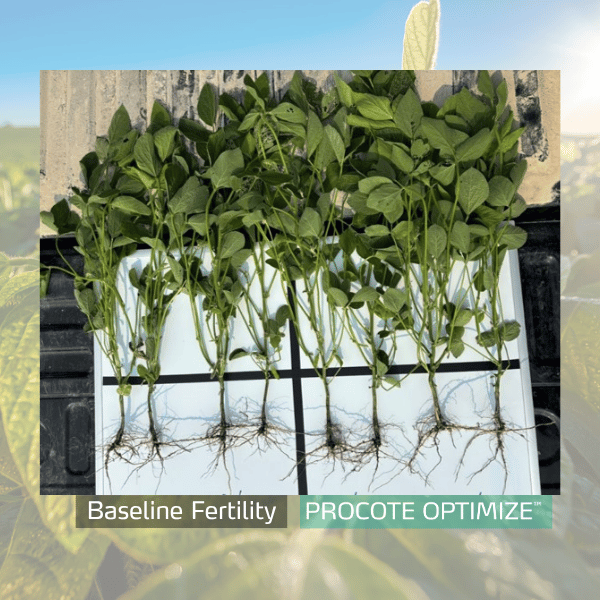 procote optimize trial in soybean