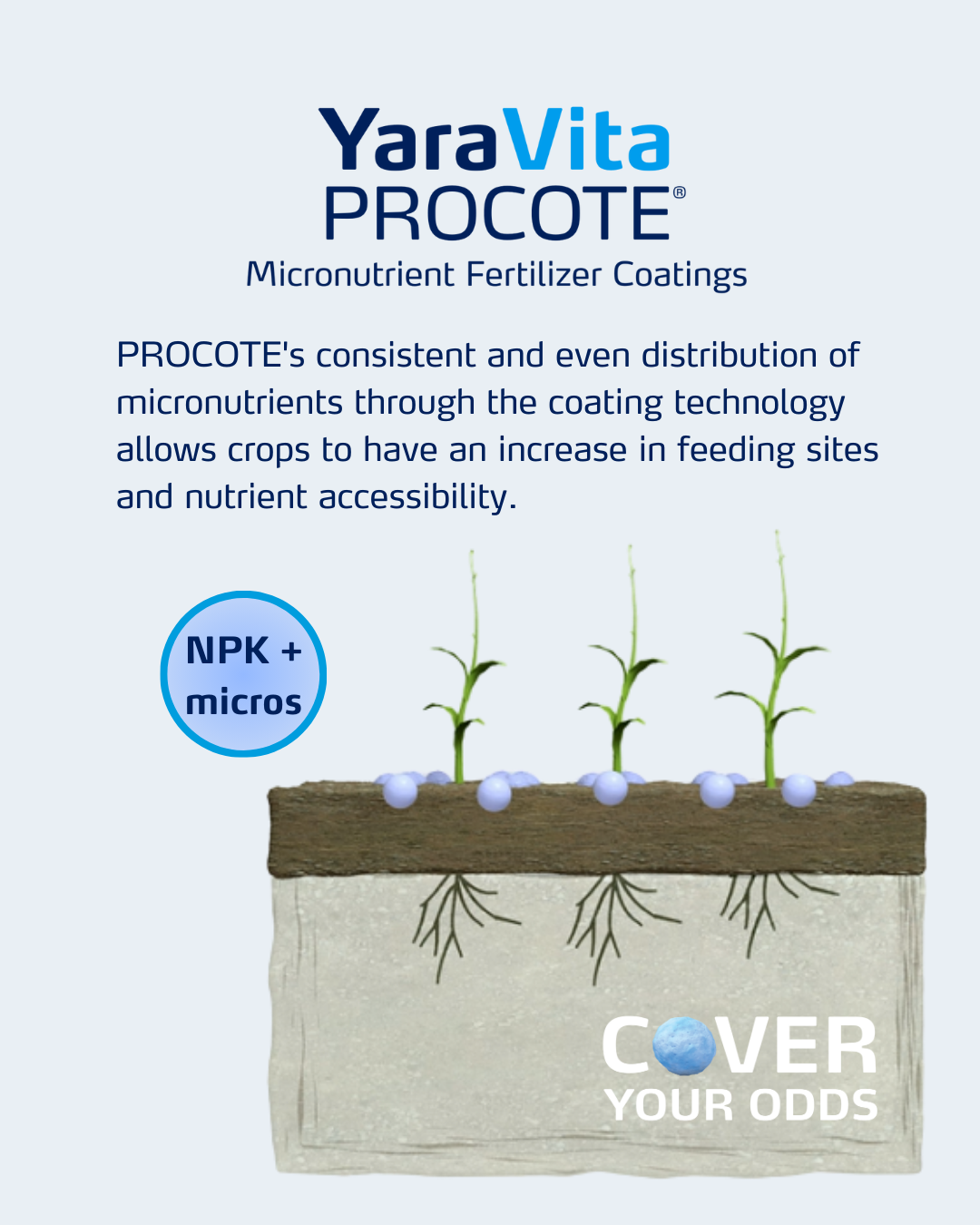 procote social media