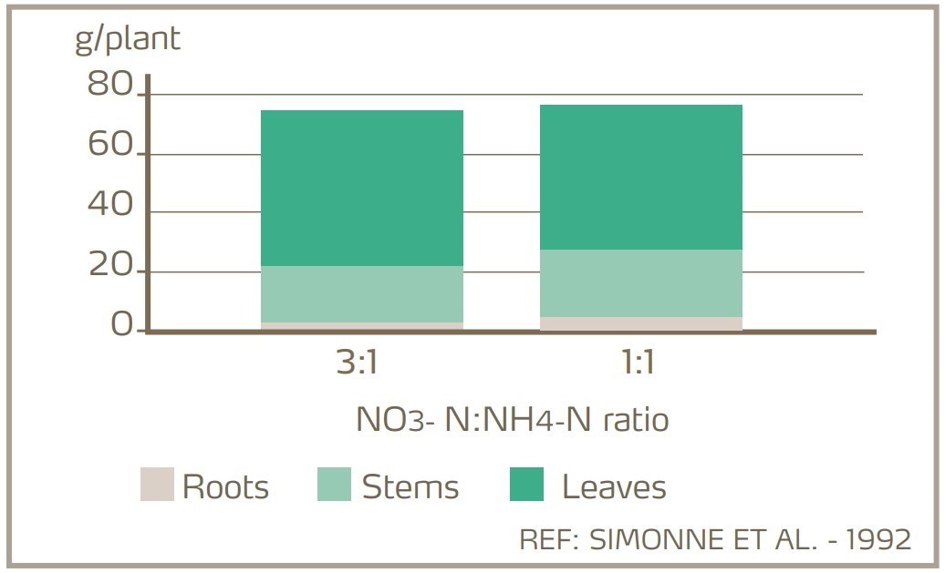 fig 2 - nitrogen source and leaf mass.jpg