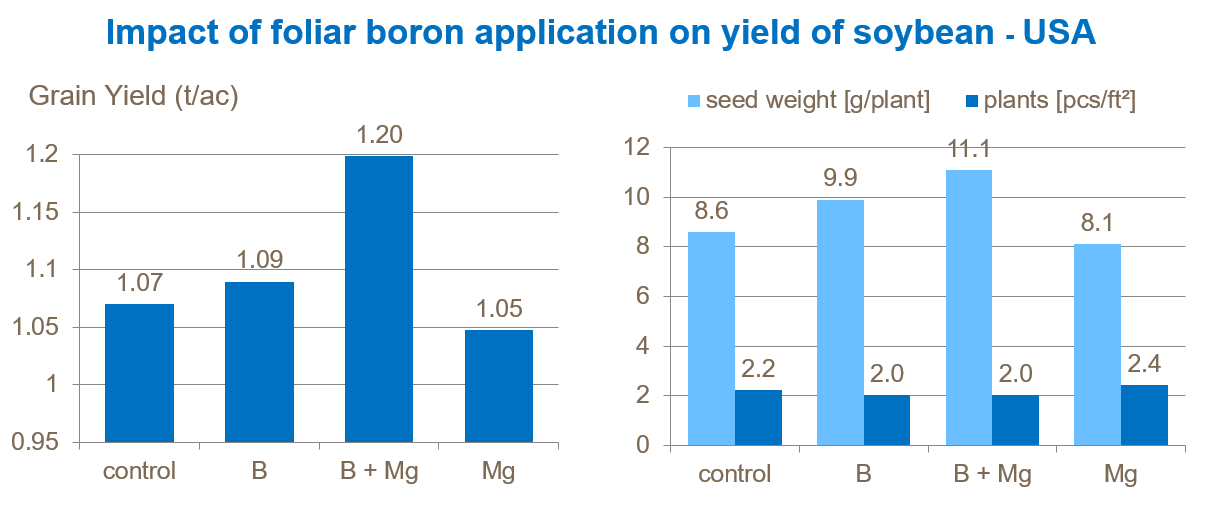 flower-abortion-foliar-b-and-yield.png