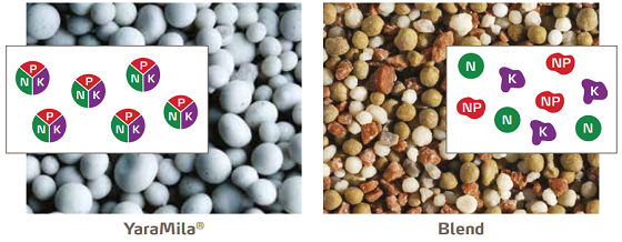 yaramila x blends.png