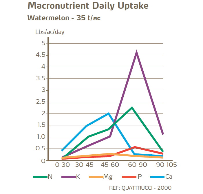 macronutrient daily uptake.png