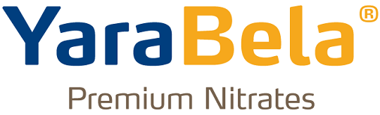 yarabela