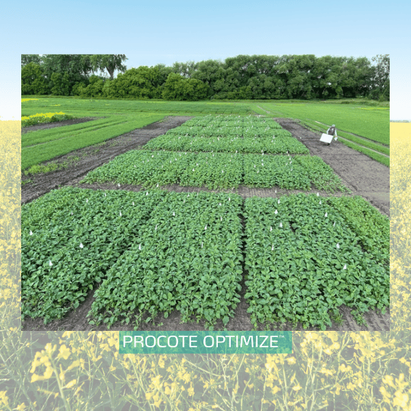 procote optimize trial in canola