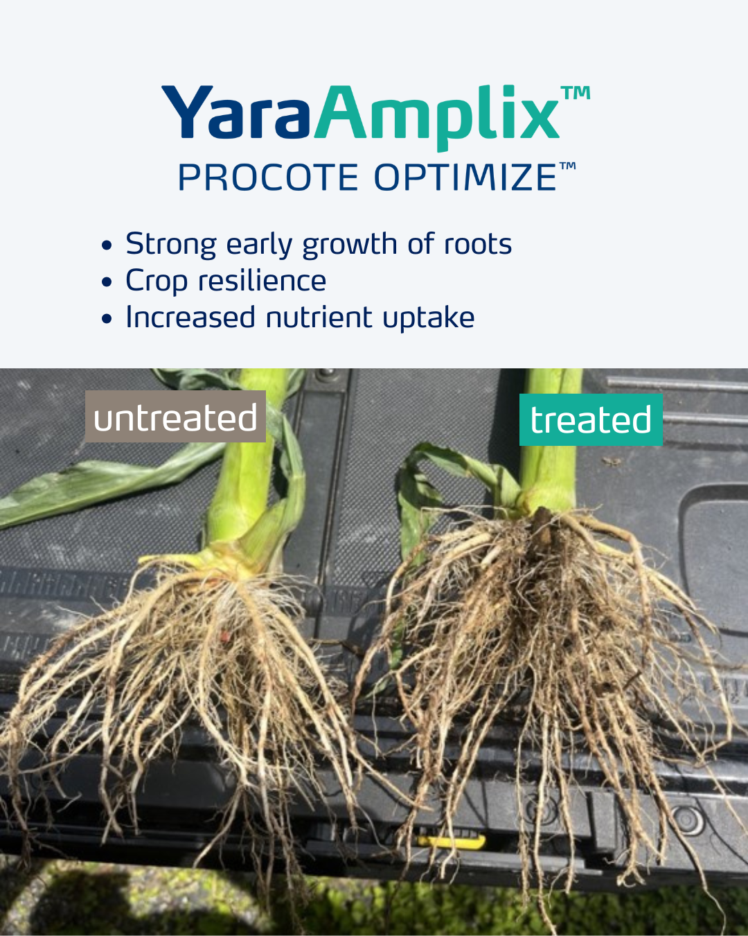 procote optimize social media