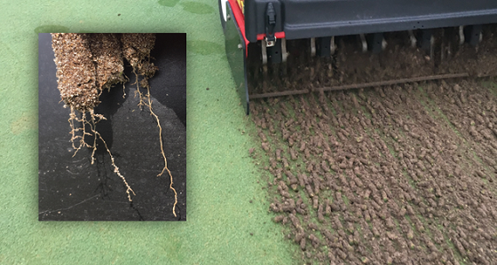 aerification may 2020.png