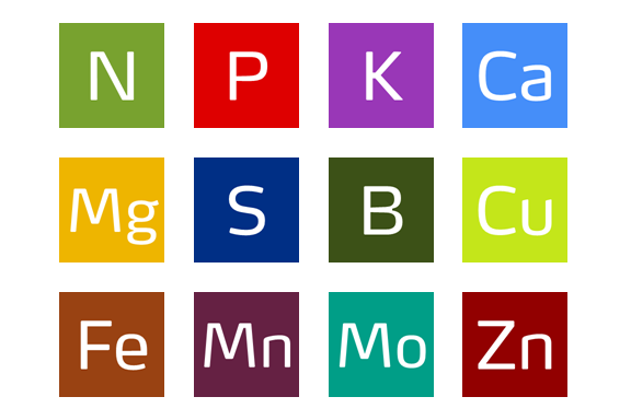 role of nutrients in turfgrass