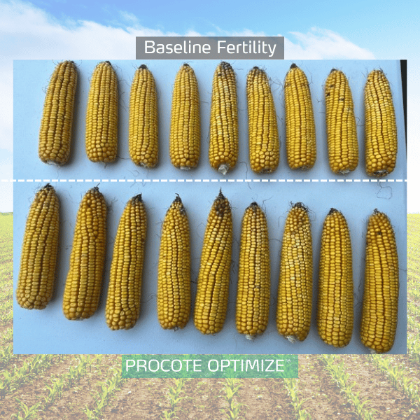 procote optimize trial in corn