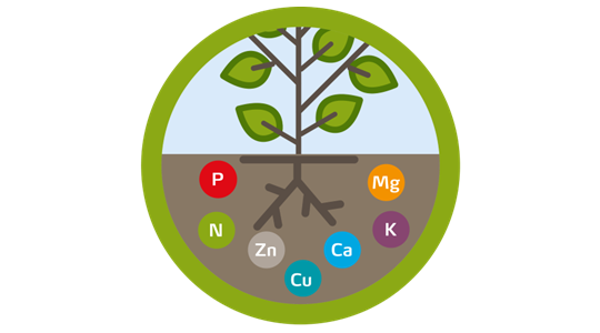nutrient use efficiency