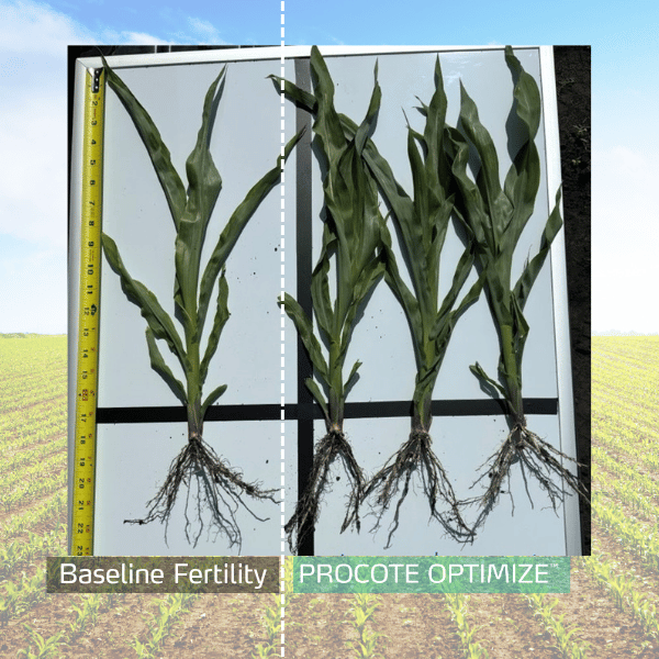 procote optimize trial in corn