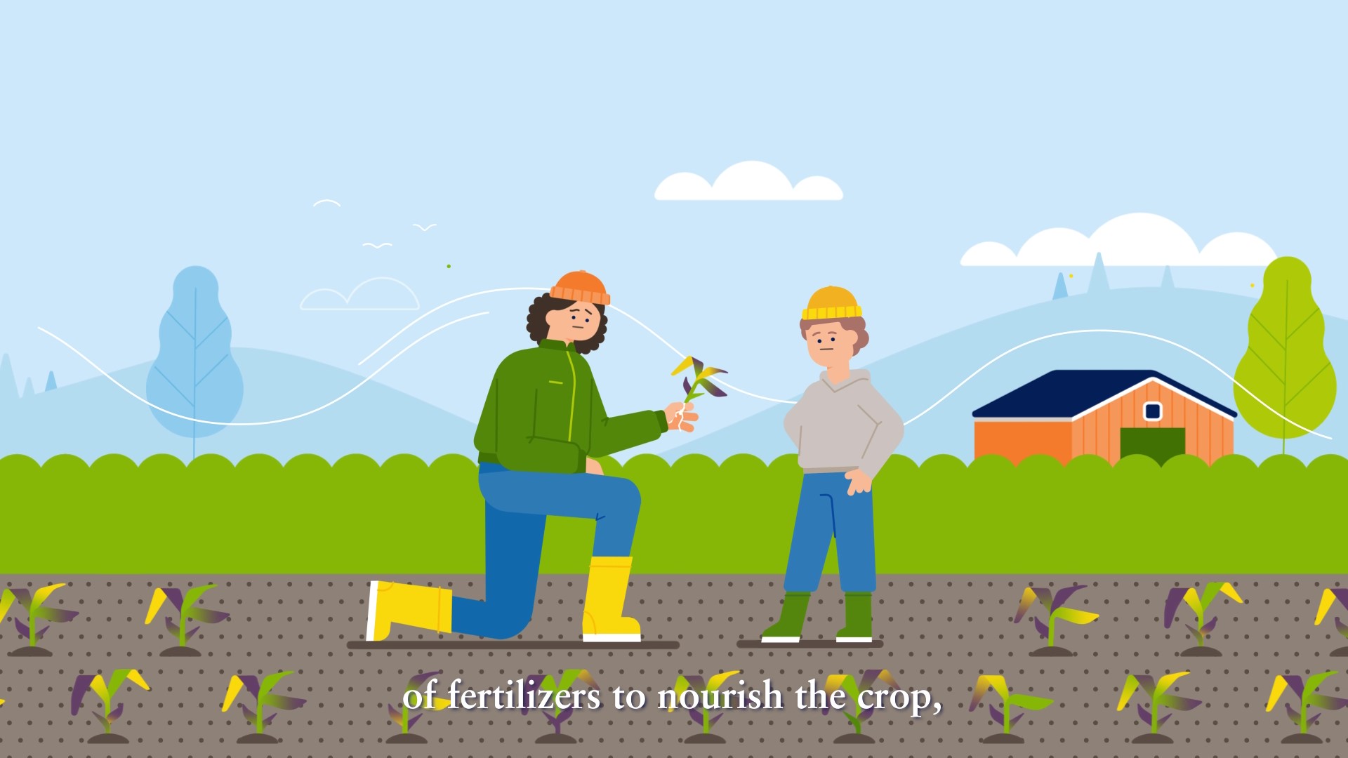 procote optimize video