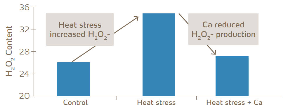 heat stress graph H2O and Ca.PNG