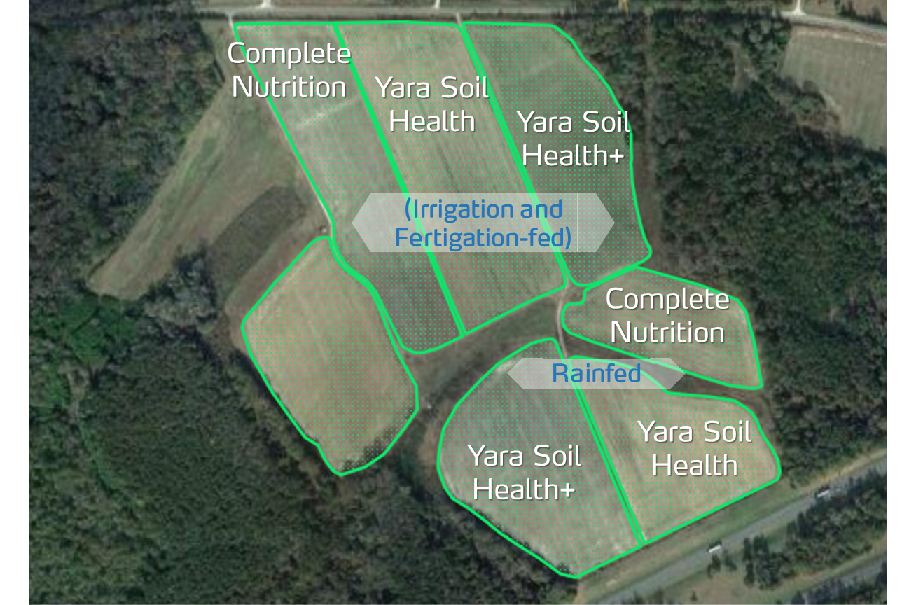 auburn soil health fields