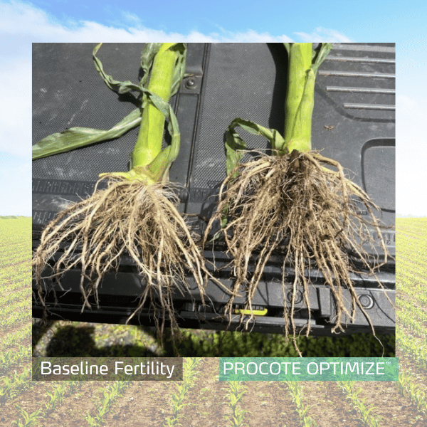 procote optimize trial in corn