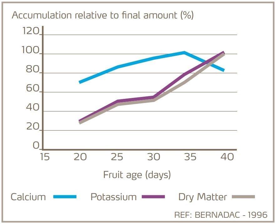 fig 3 - calcium and potassium accumulation.jpg