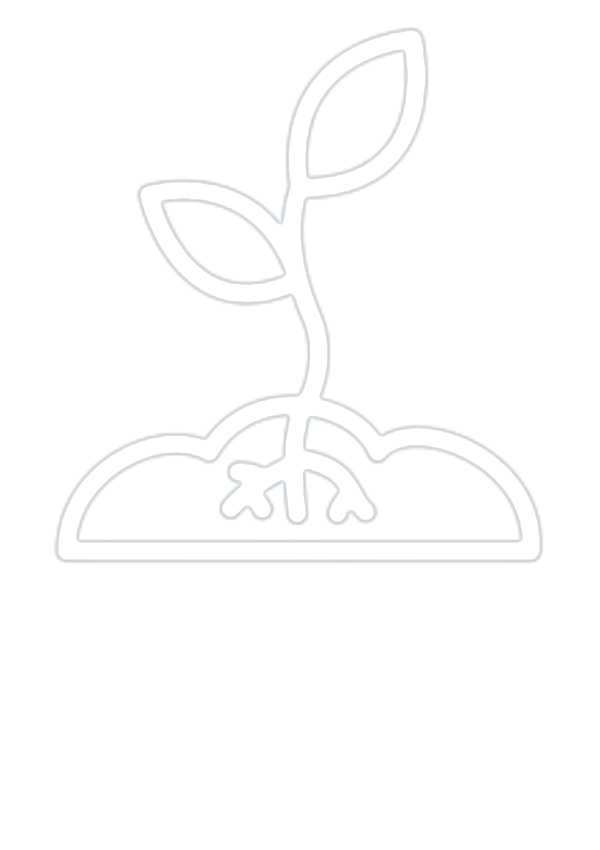 improved root growth