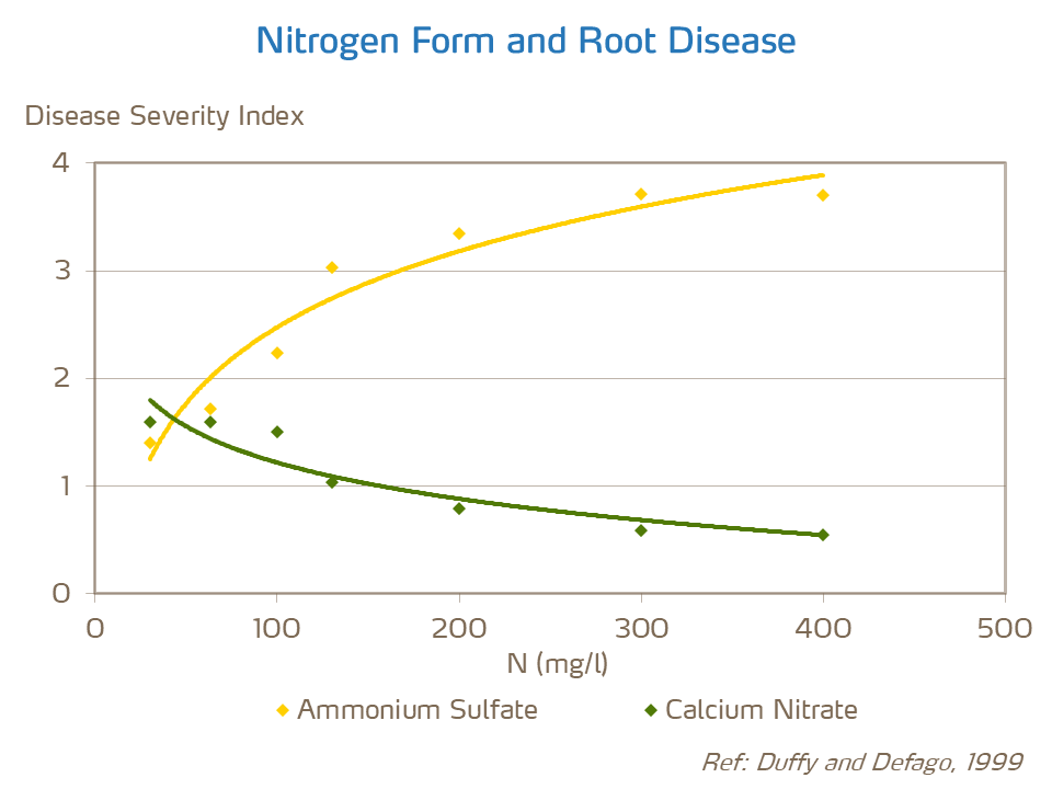 nitrate and disease severity in vegetable crops