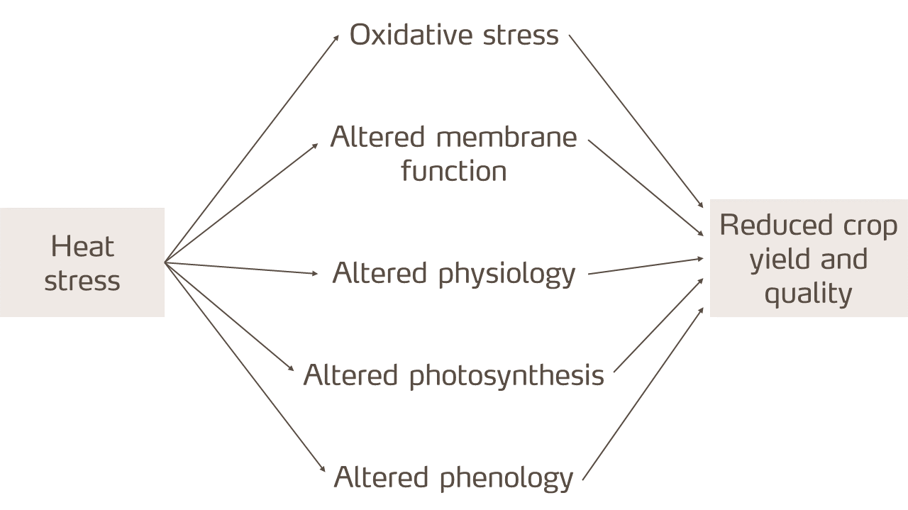 heat-stress-diagram.png
