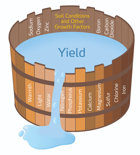 liebig barrel reduced.png